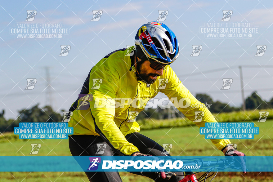 V Desafio MTB Marialva