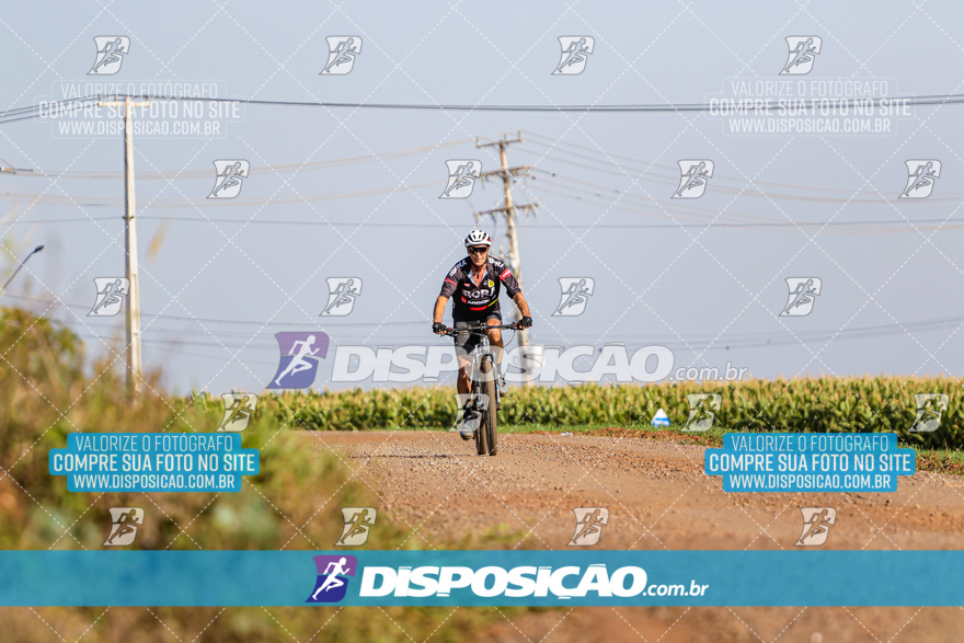 V Desafio MTB Marialva