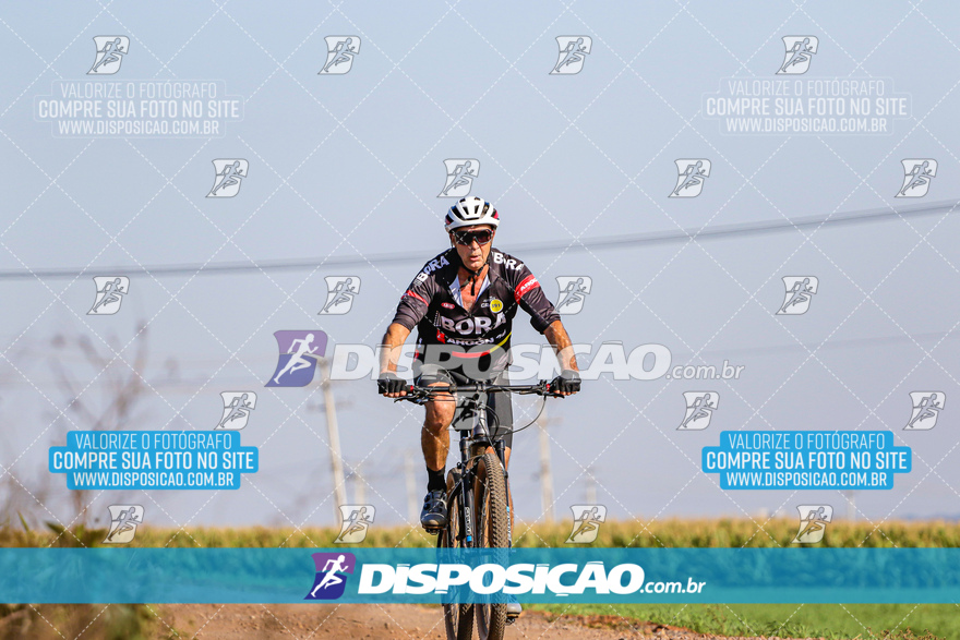 V Desafio MTB Marialva