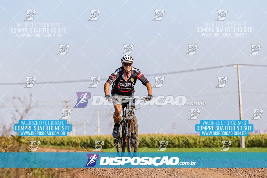 V Desafio MTB Marialva