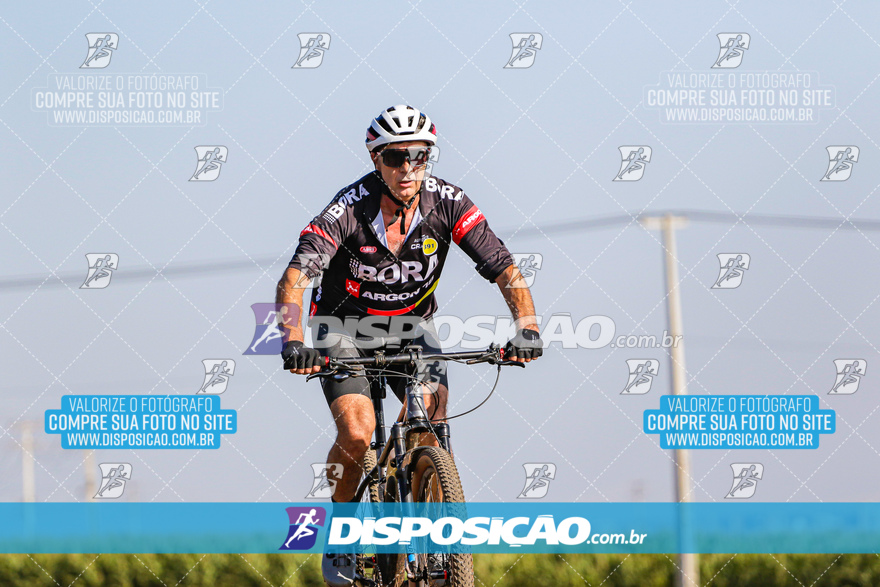 V Desafio MTB Marialva