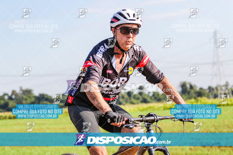 V Desafio MTB Marialva