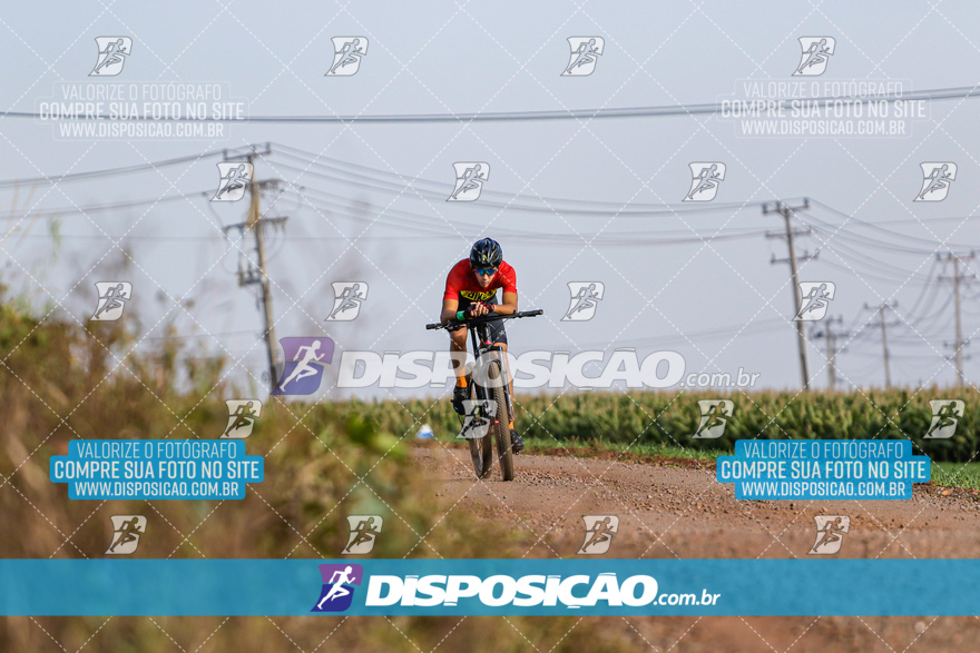 V Desafio MTB Marialva