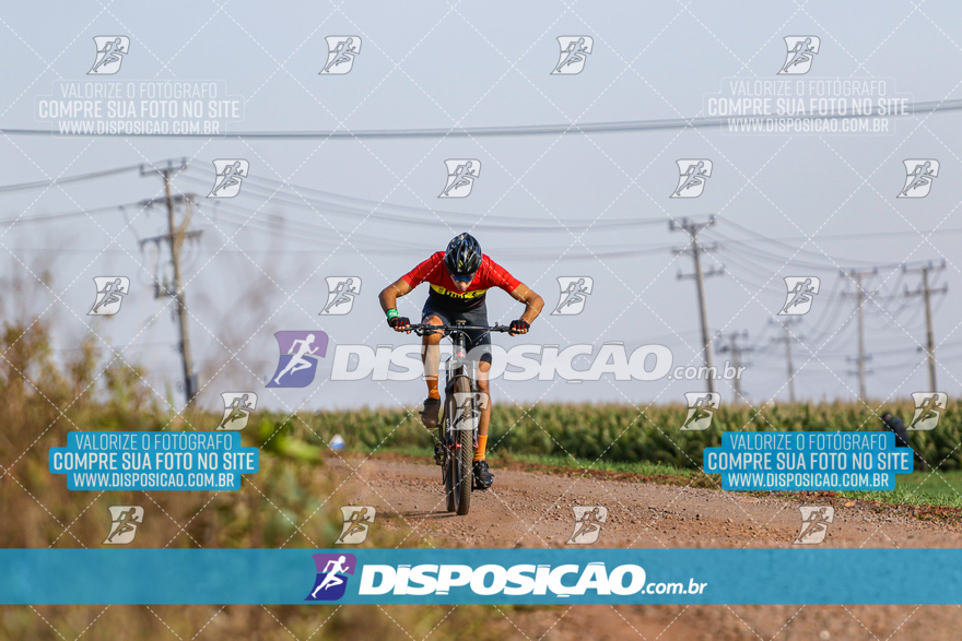 V Desafio MTB Marialva