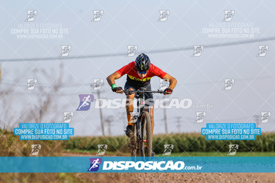 V Desafio MTB Marialva