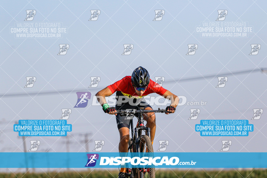 V Desafio MTB Marialva