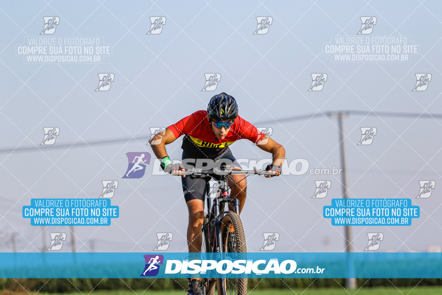 V Desafio MTB Marialva