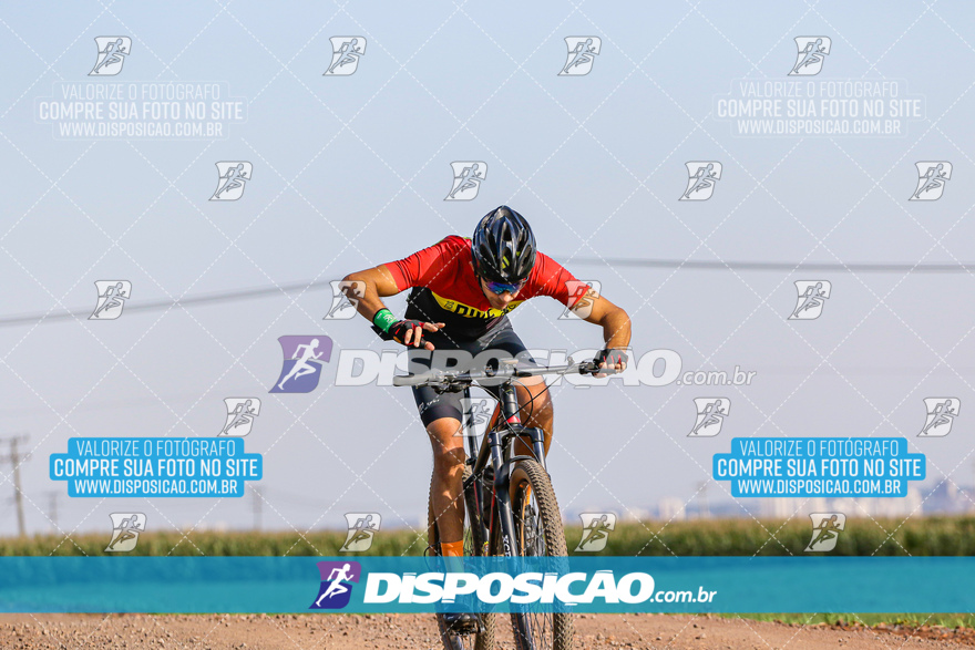 V Desafio MTB Marialva