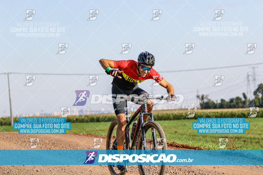 V Desafio MTB Marialva