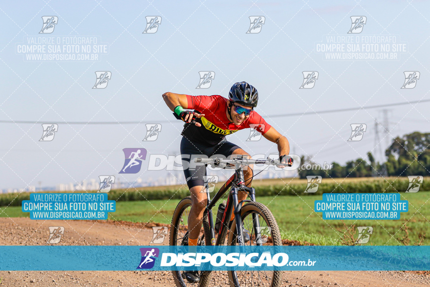 V Desafio MTB Marialva