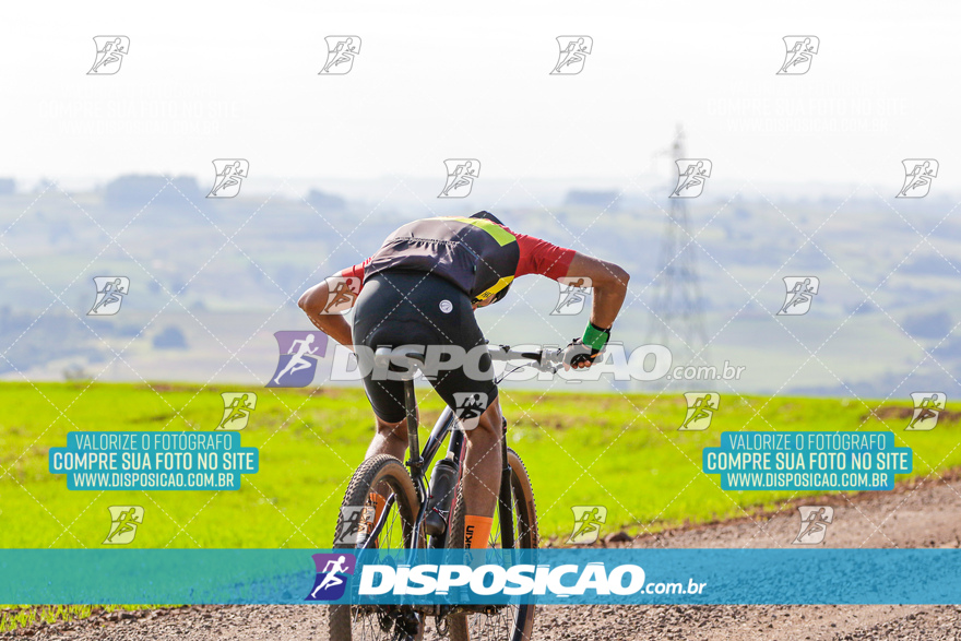 V Desafio MTB Marialva