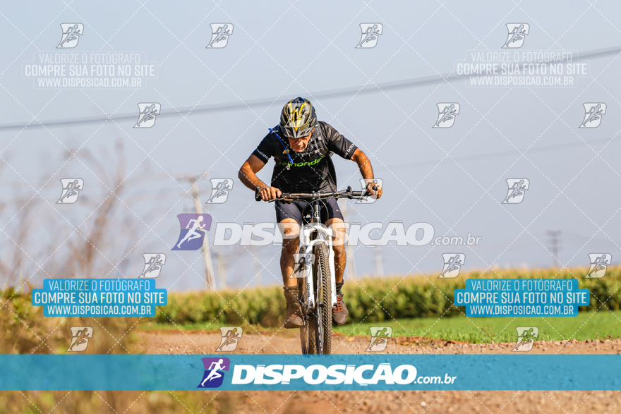 V Desafio MTB Marialva