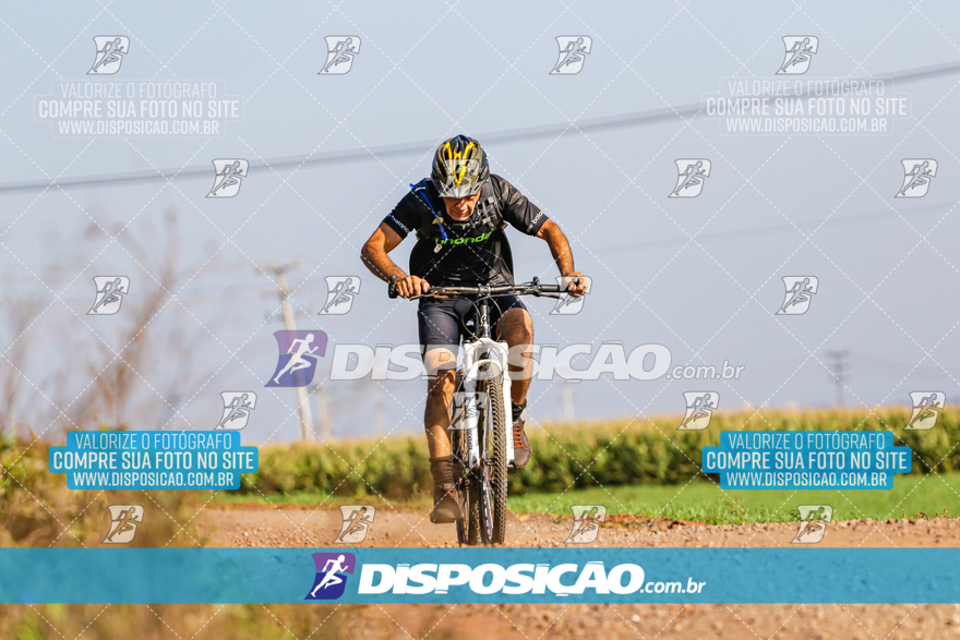 V Desafio MTB Marialva