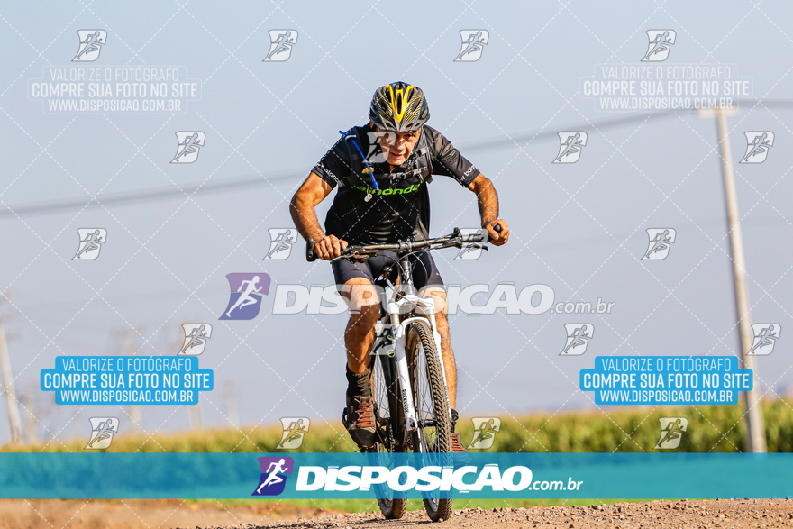 V Desafio MTB Marialva