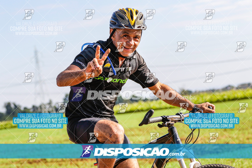 V Desafio MTB Marialva