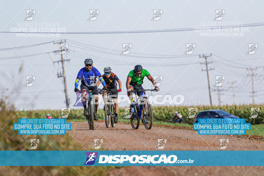 V Desafio MTB Marialva