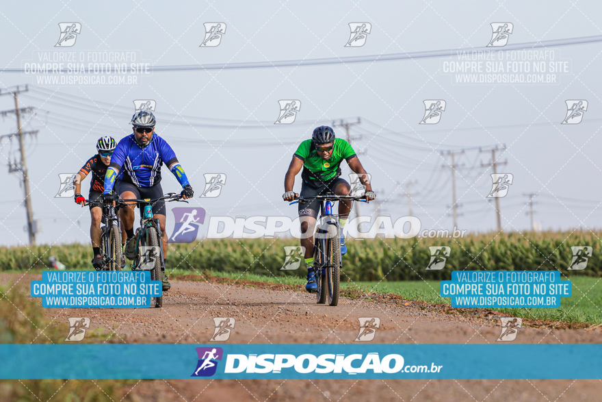 V Desafio MTB Marialva