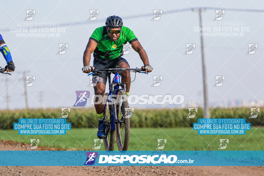 V Desafio MTB Marialva