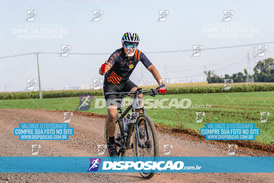 V Desafio MTB Marialva