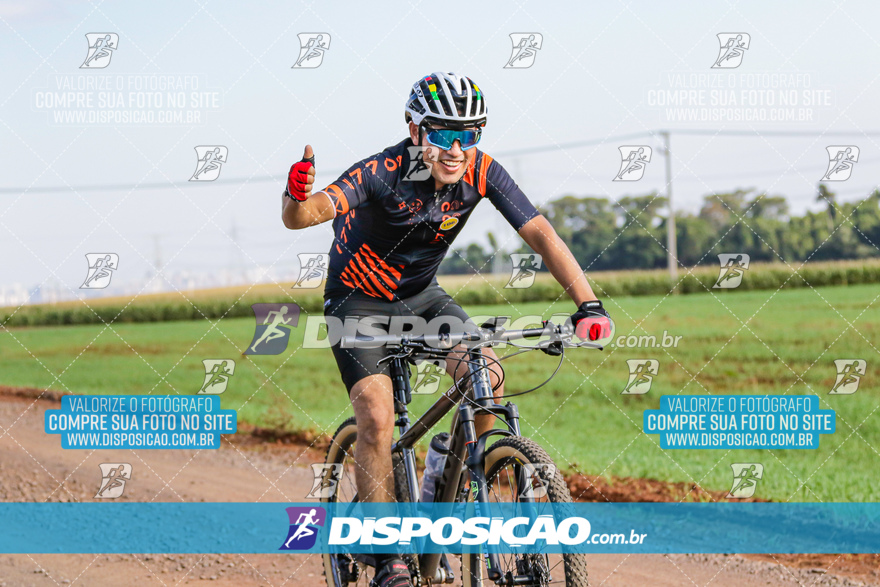 V Desafio MTB Marialva