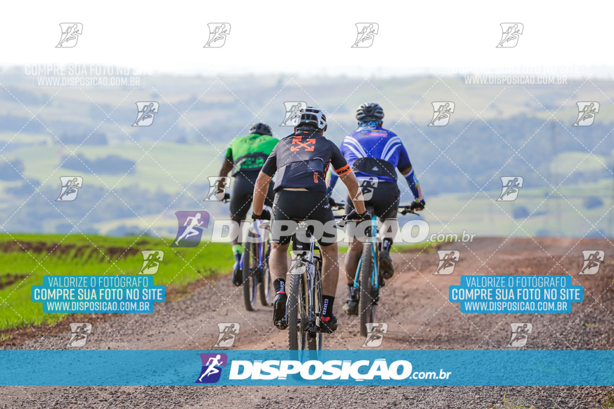 V Desafio MTB Marialva