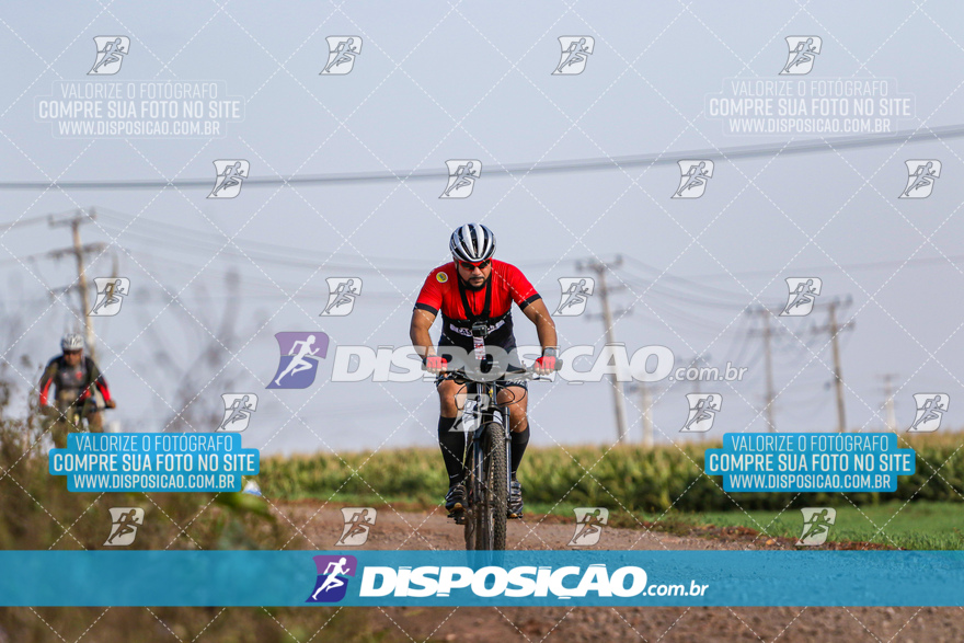 V Desafio MTB Marialva