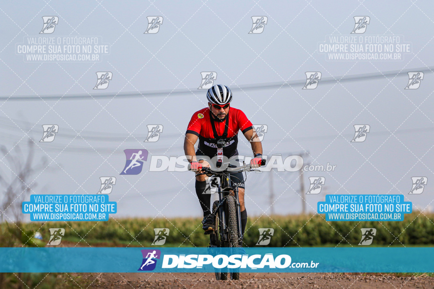 V Desafio MTB Marialva