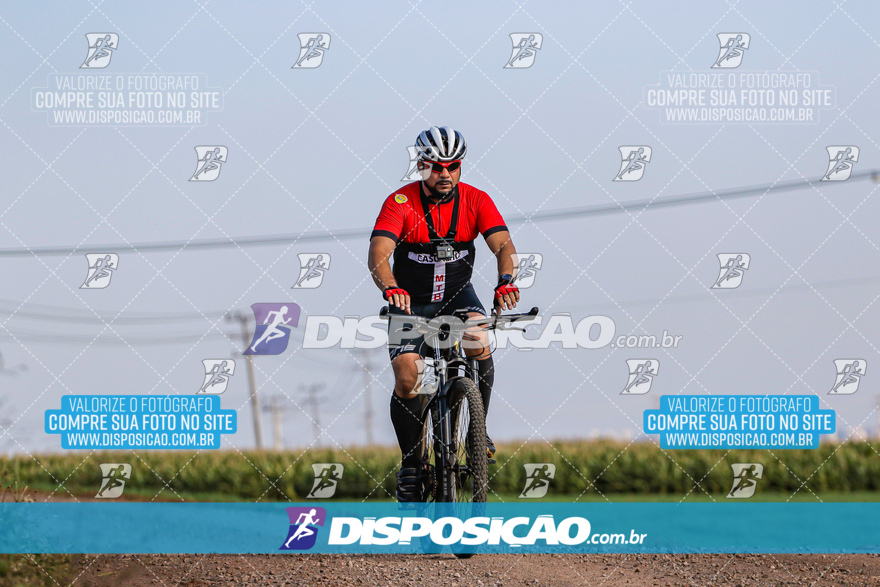 V Desafio MTB Marialva