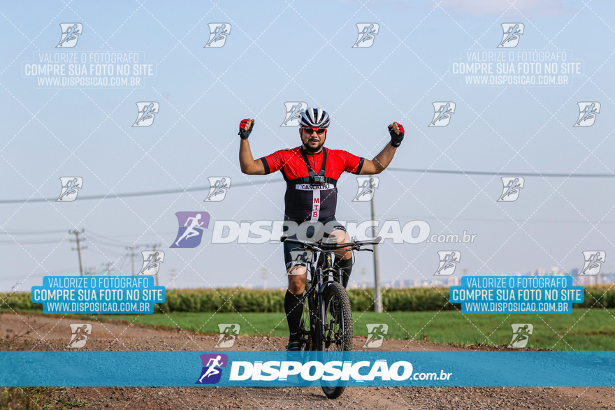 V Desafio MTB Marialva