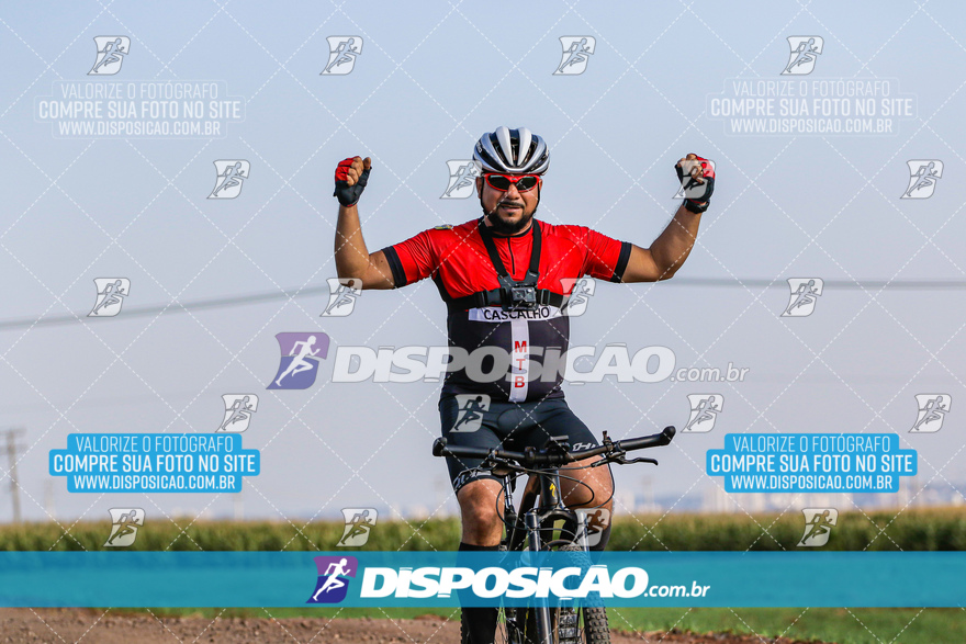 V Desafio MTB Marialva