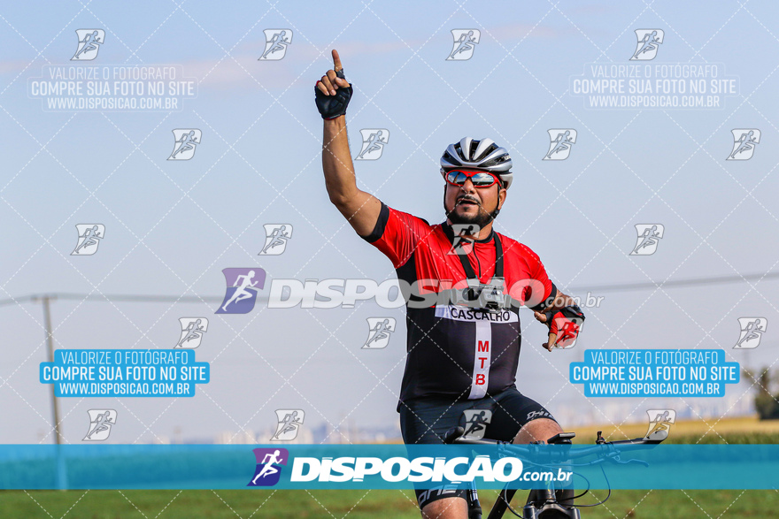 V Desafio MTB Marialva