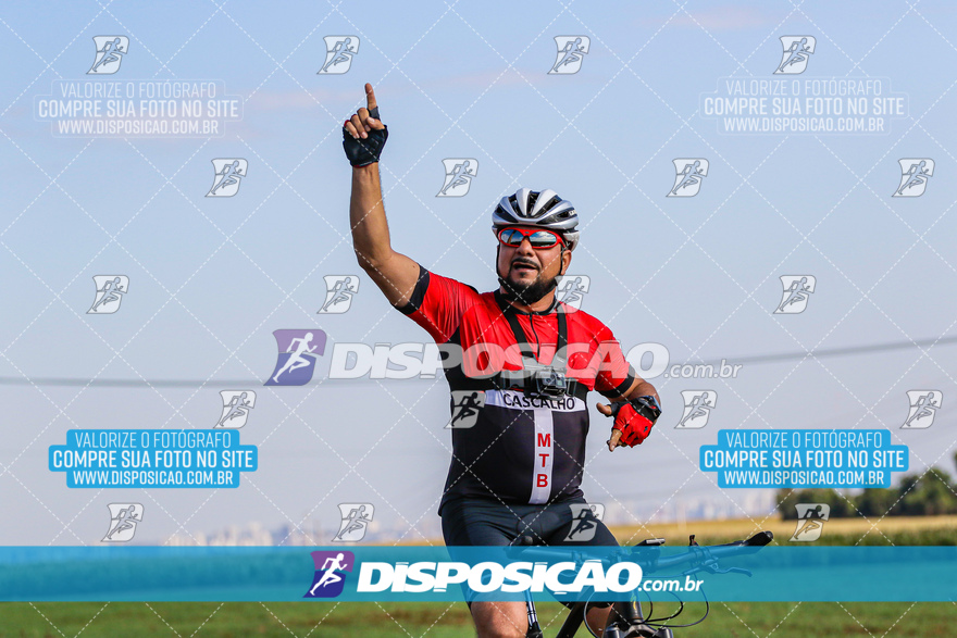 V Desafio MTB Marialva