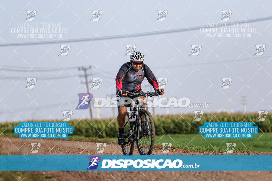 V Desafio MTB Marialva