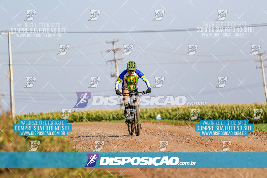 V Desafio MTB Marialva