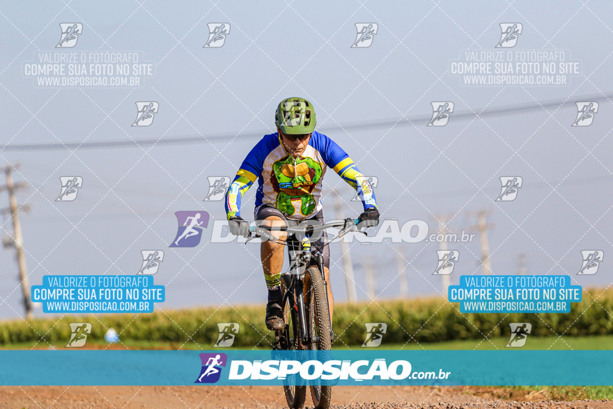 V Desafio MTB Marialva