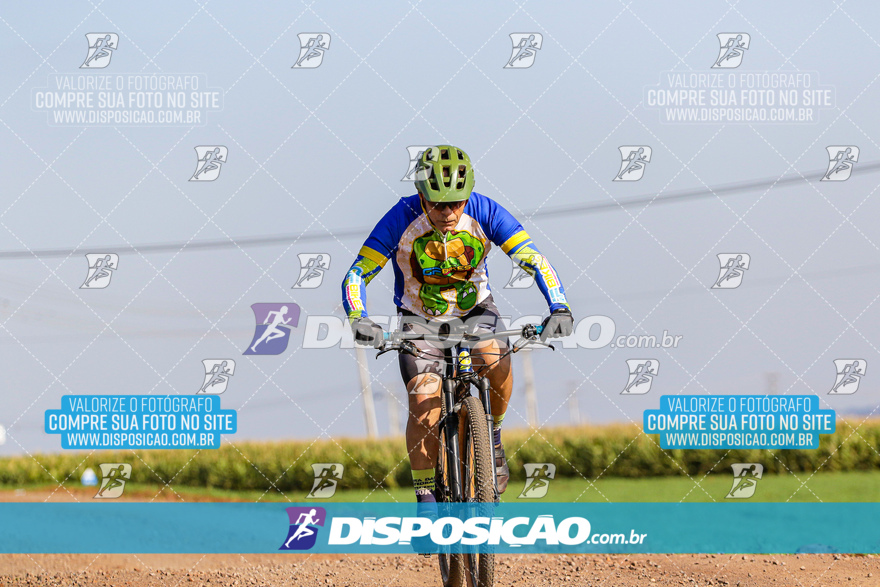 V Desafio MTB Marialva