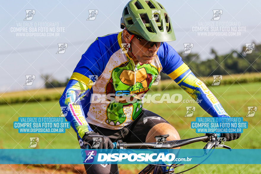 V Desafio MTB Marialva