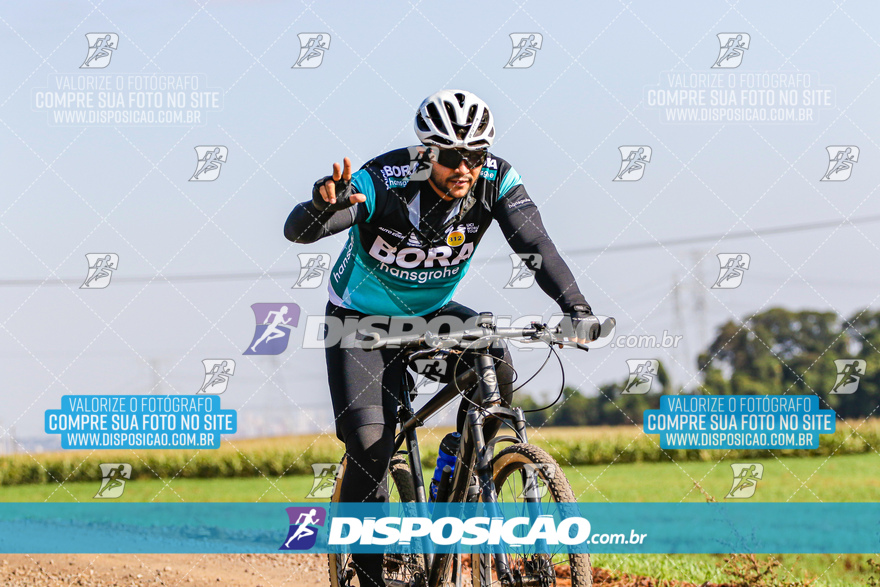 V Desafio MTB Marialva