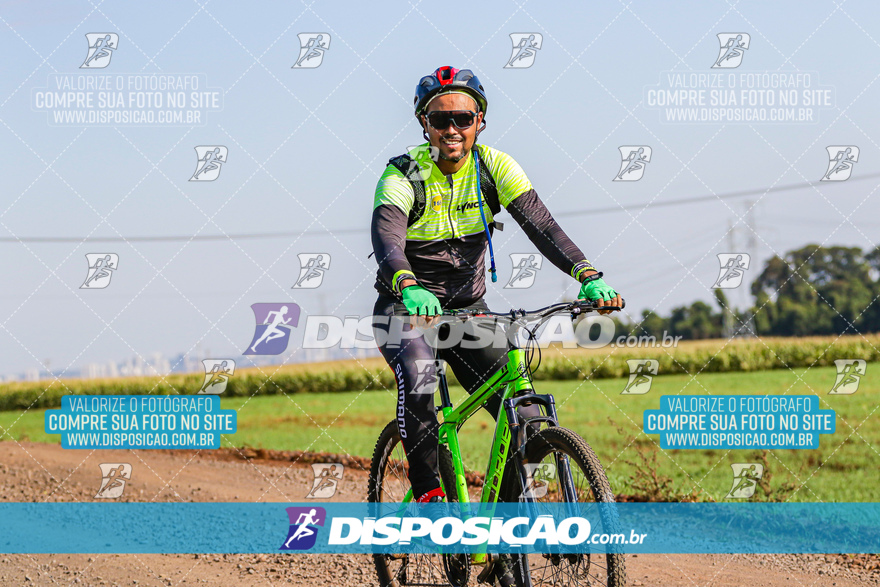 V Desafio MTB Marialva