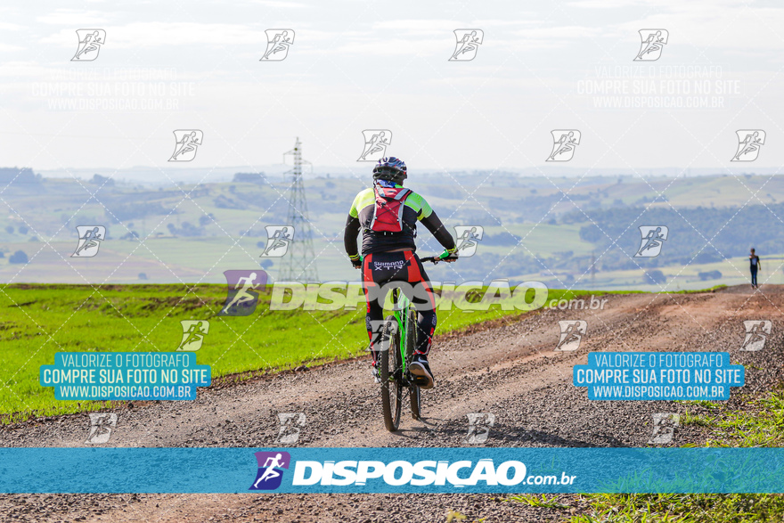 V Desafio MTB Marialva