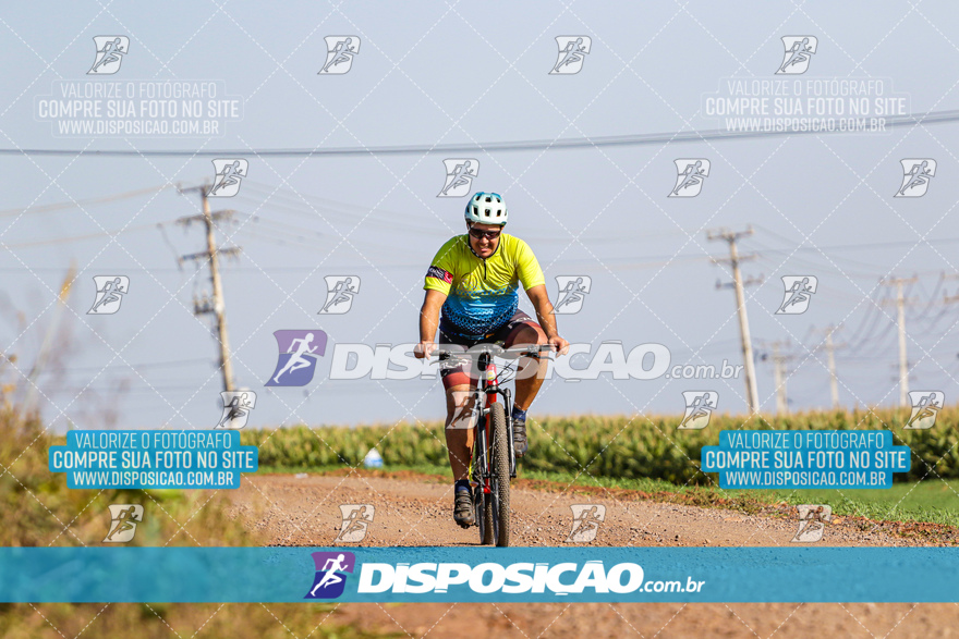 V Desafio MTB Marialva