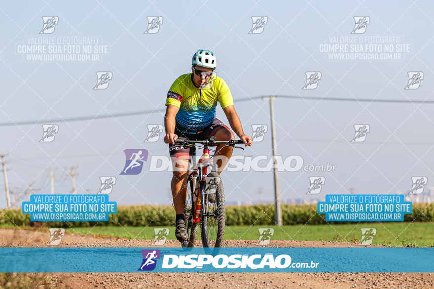 V Desafio MTB Marialva