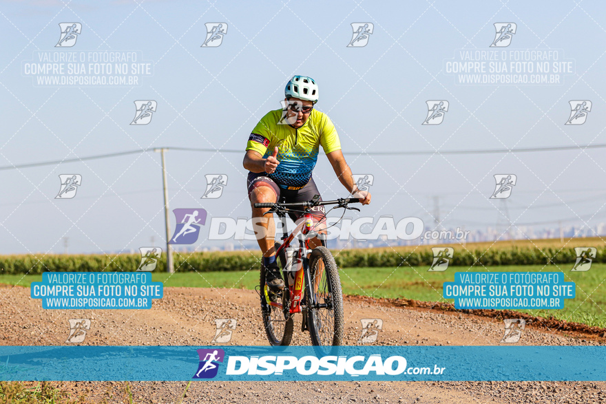 V Desafio MTB Marialva