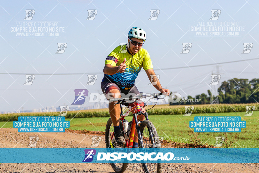 V Desafio MTB Marialva