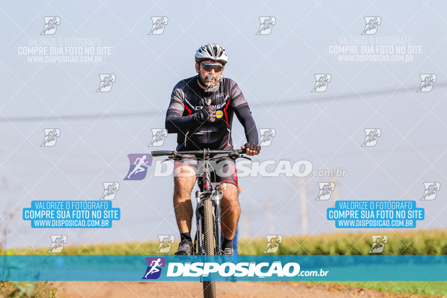 V Desafio MTB Marialva