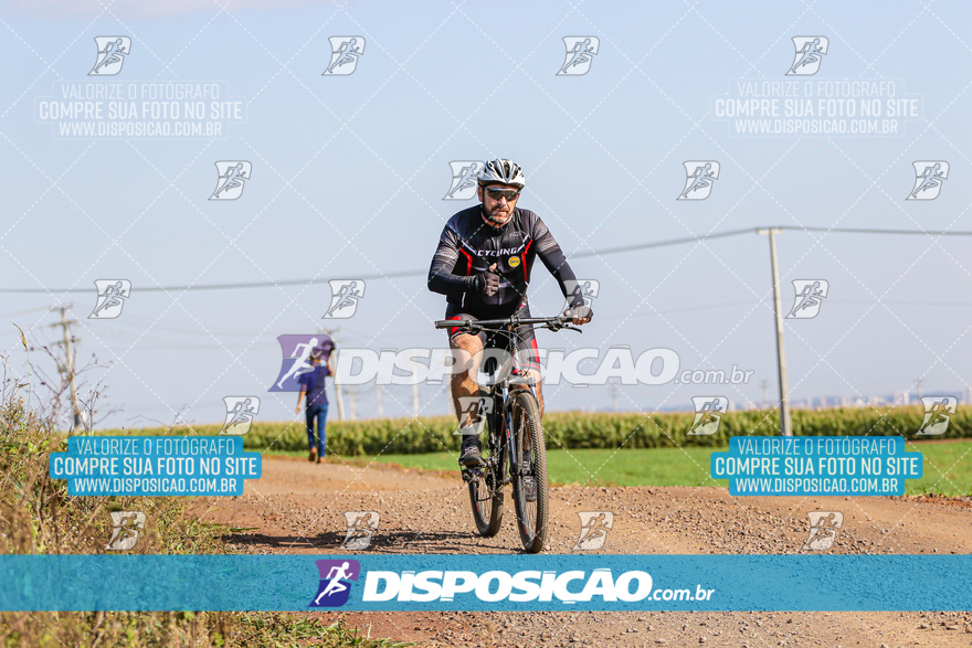 V Desafio MTB Marialva