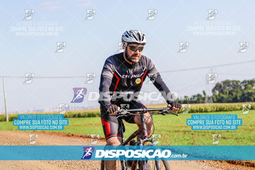 V Desafio MTB Marialva