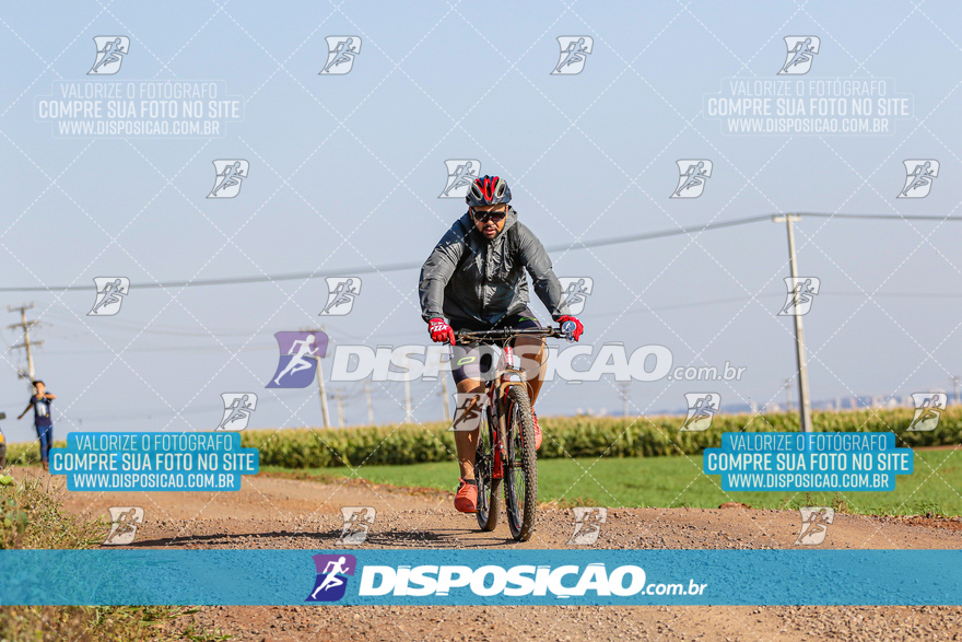 V Desafio MTB Marialva