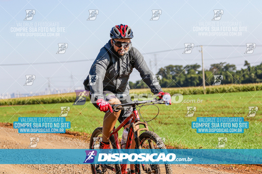 V Desafio MTB Marialva