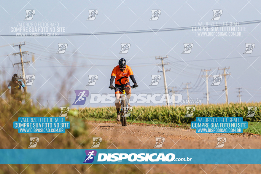 V Desafio MTB Marialva